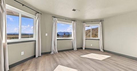 3156 Hobo Hot Springs Road, Minden, NV 89423 Photo