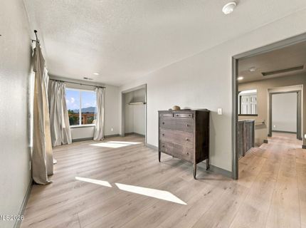 3156 Hobo Hot Springs Road, Minden, NV 89423 Photo