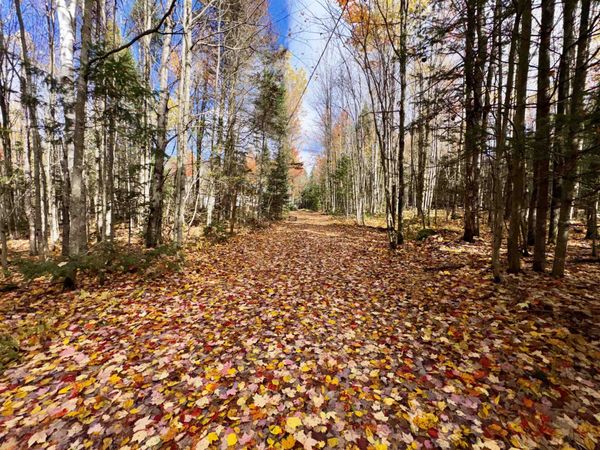 67 Lynch Road, Stewartstown, NH 03576