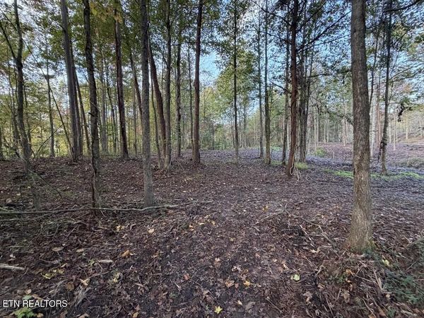 0 Sled Creek Rd, Duff, TN 37729