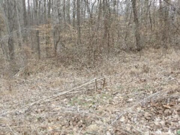 Lot 24 Beaver Lane, Gainesboro, TN 38562