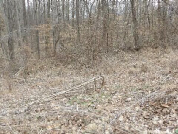 5.51ac Beaver Lane , Gainesboro, TN 38562