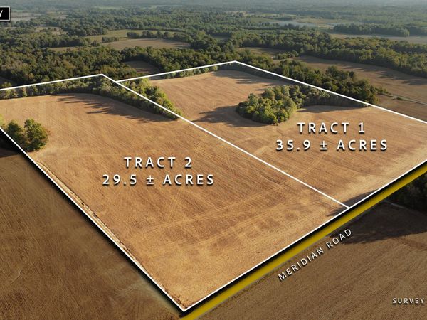 0 Meridian Road , Greenfield, TN 38230