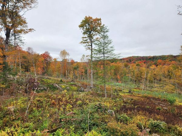 0 Sunset Drive, Unit 3, Morgan, VT 05853