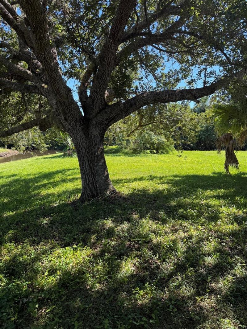 7444 S Seagrape Rd , Punta Gorda, FL 33955 Photo