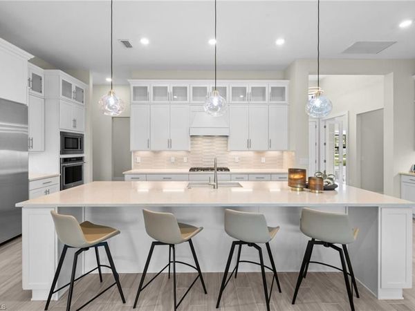 19619 Panther Island BLVD , ESTERO, FL 33928