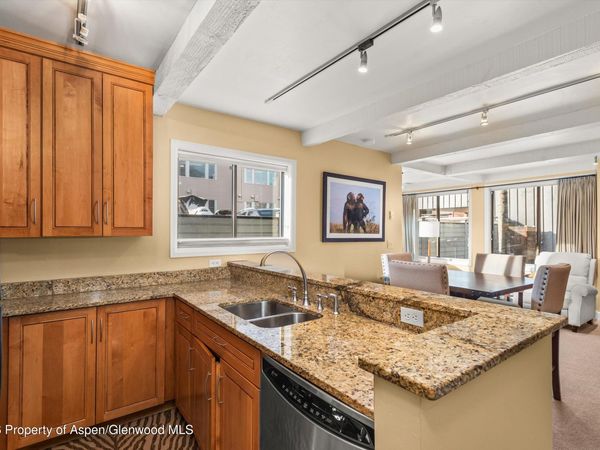 709 E Main Street, Unit 201, Aspen, CO 81611