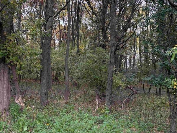 BOWLING LANE, Waupaca, WI 54981