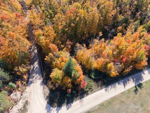 1197 Wildwood Trail, Vanderbilt, MI 49795