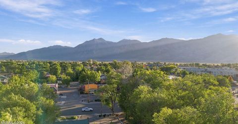 1671 U.s. Hwy 395, Minden, NV 89423 Photo