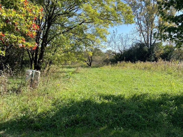 40315 N Belle Foret Drive, Wadsworth, IL 60083