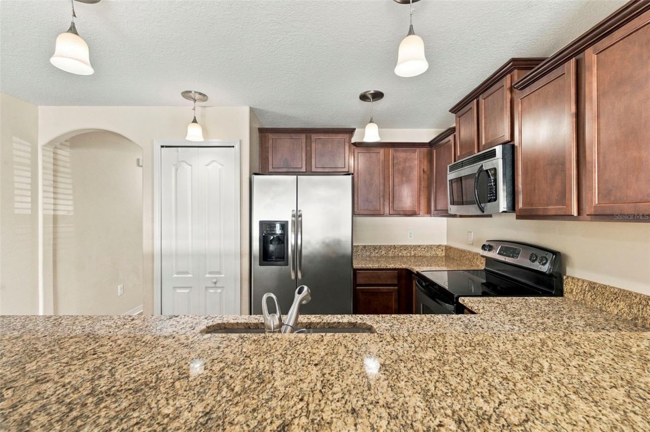 9726 Trumpet Vine Loop, Trinity, FL 34655 Photo