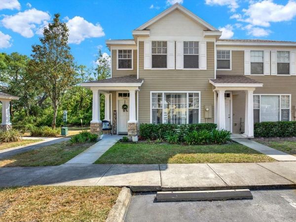 11041 BLACK SWAN COURT , SEFFNER, FL 33584