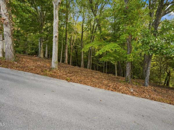 Tbd Edgewood Street, Church Hill, TN 37642