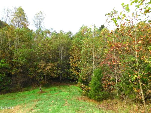 Tbd Old Harlan Road, Jonesville, VA 24263