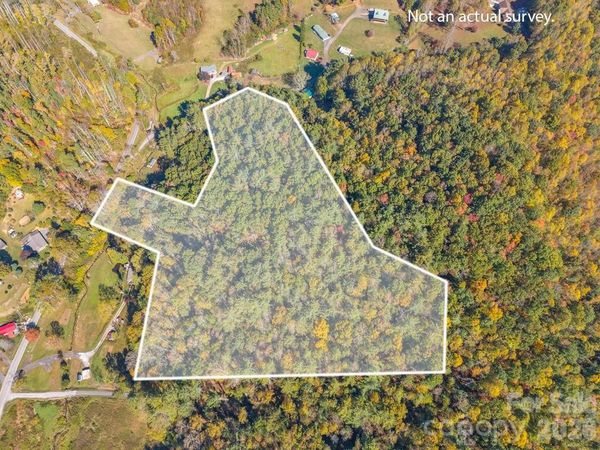 000 Hamburg Road , Bakersville, NC 28705