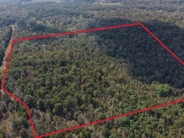 990 Moore Road , Evening Shade, AR 72532