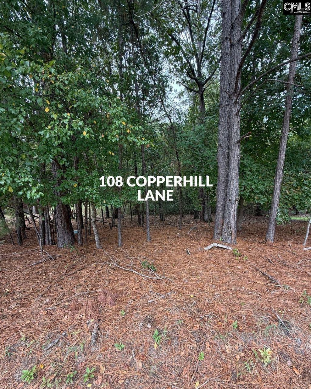 514 Rose Creek Lane  Photo 4