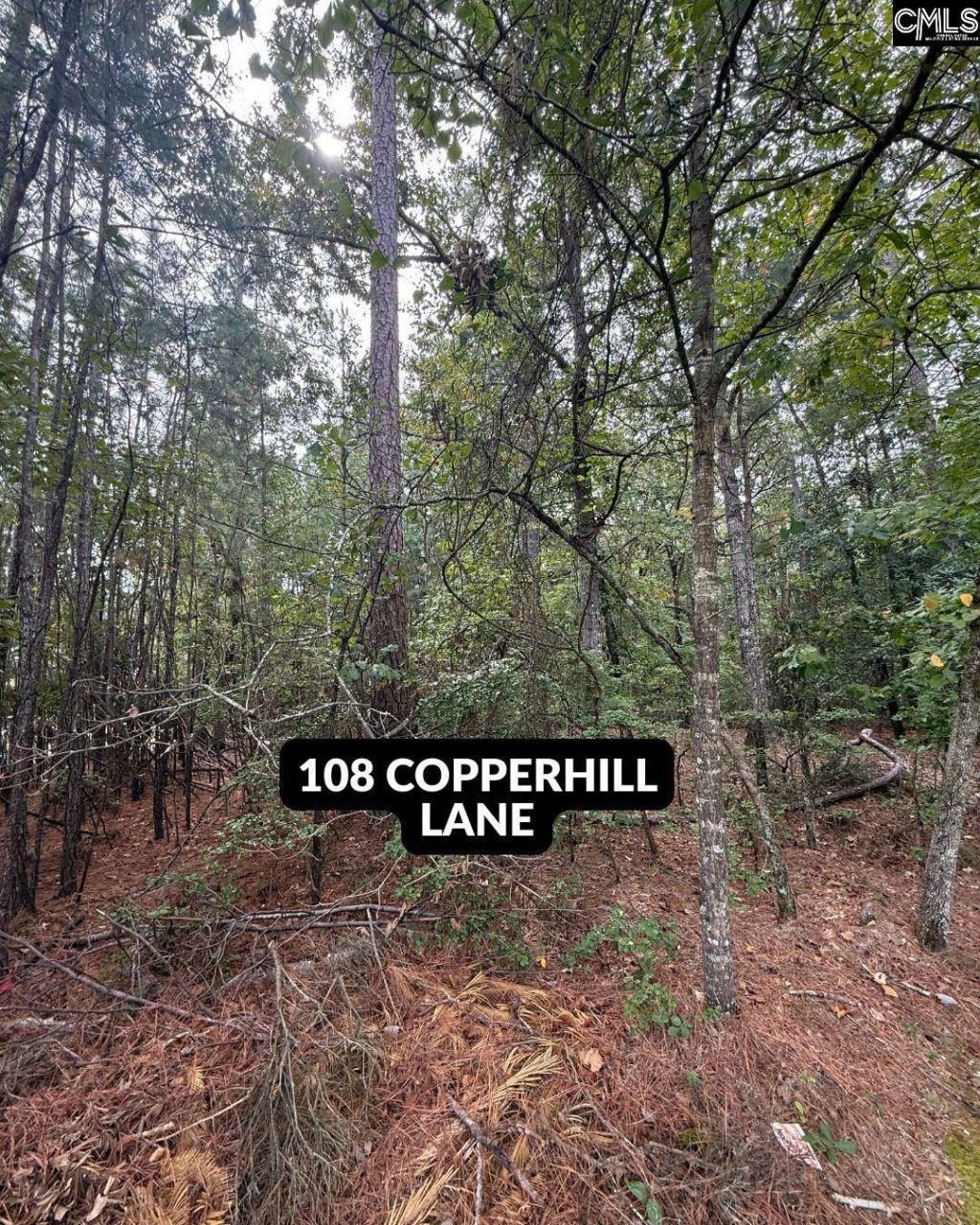 514 Rose Creek Lane  Photo 5
