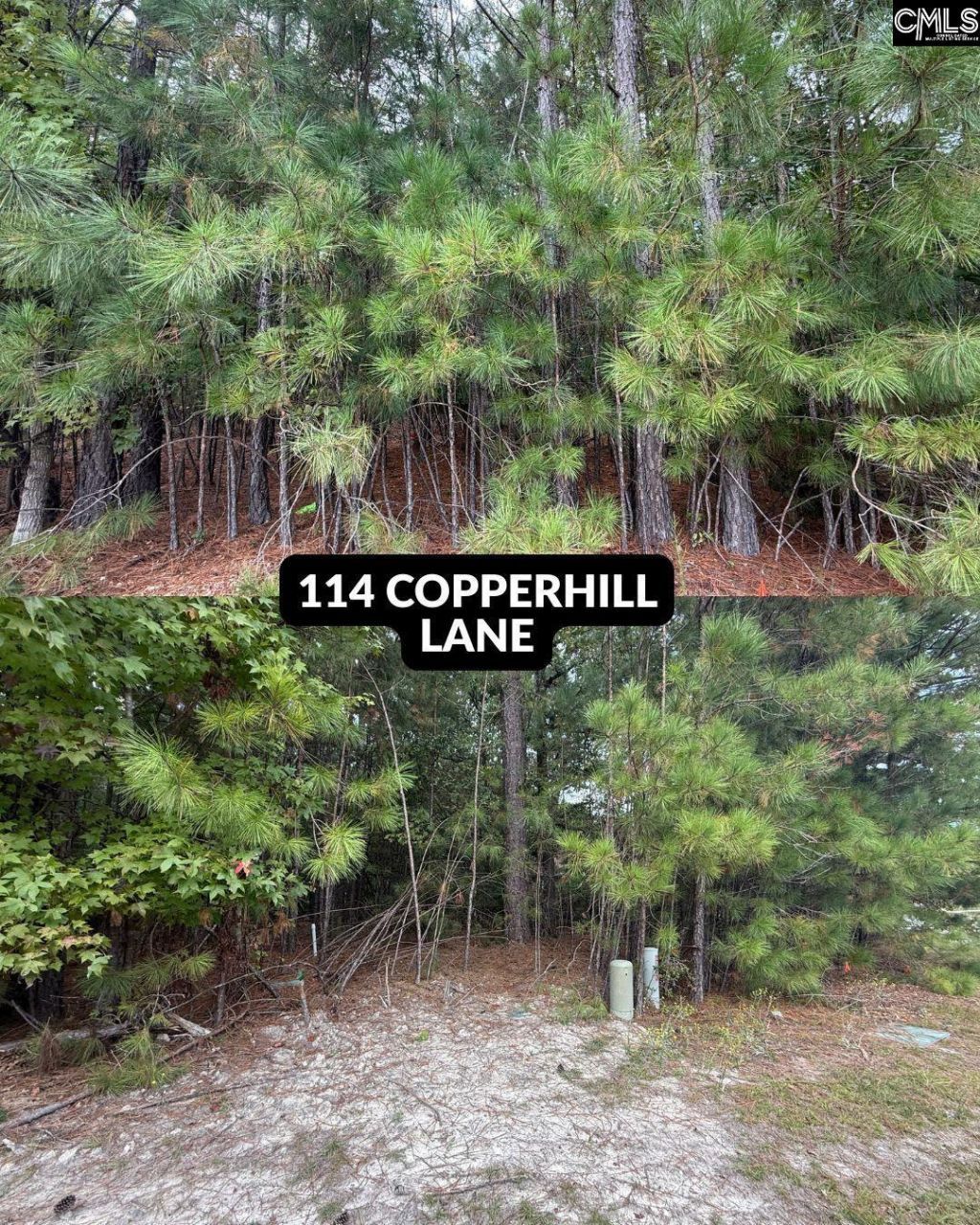 514 Rose Creek Lane  Photo 6
