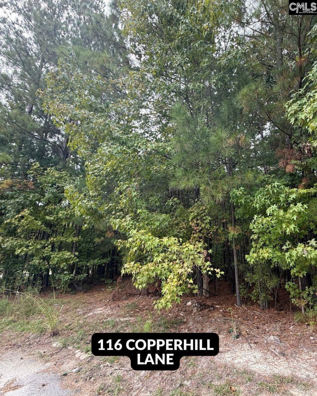 514 Rose Creek Lane  Photo 7