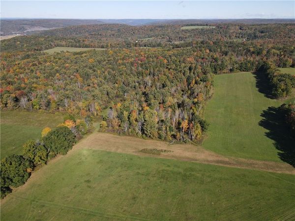 Browntown Road, Lindley, NY 14858