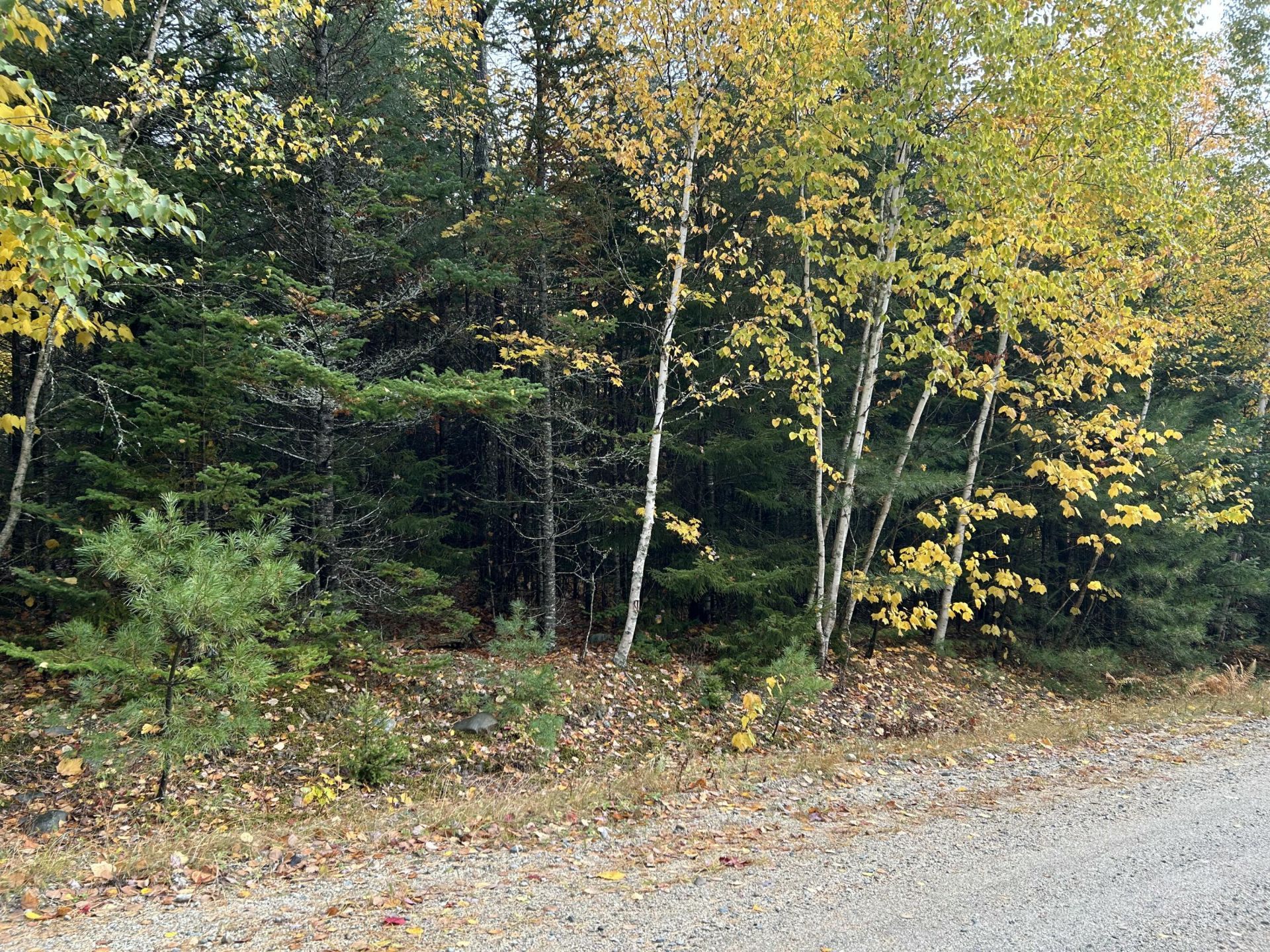 9 Pret's Meadow Lane, Blue Hill, ME 04614 Main Photo