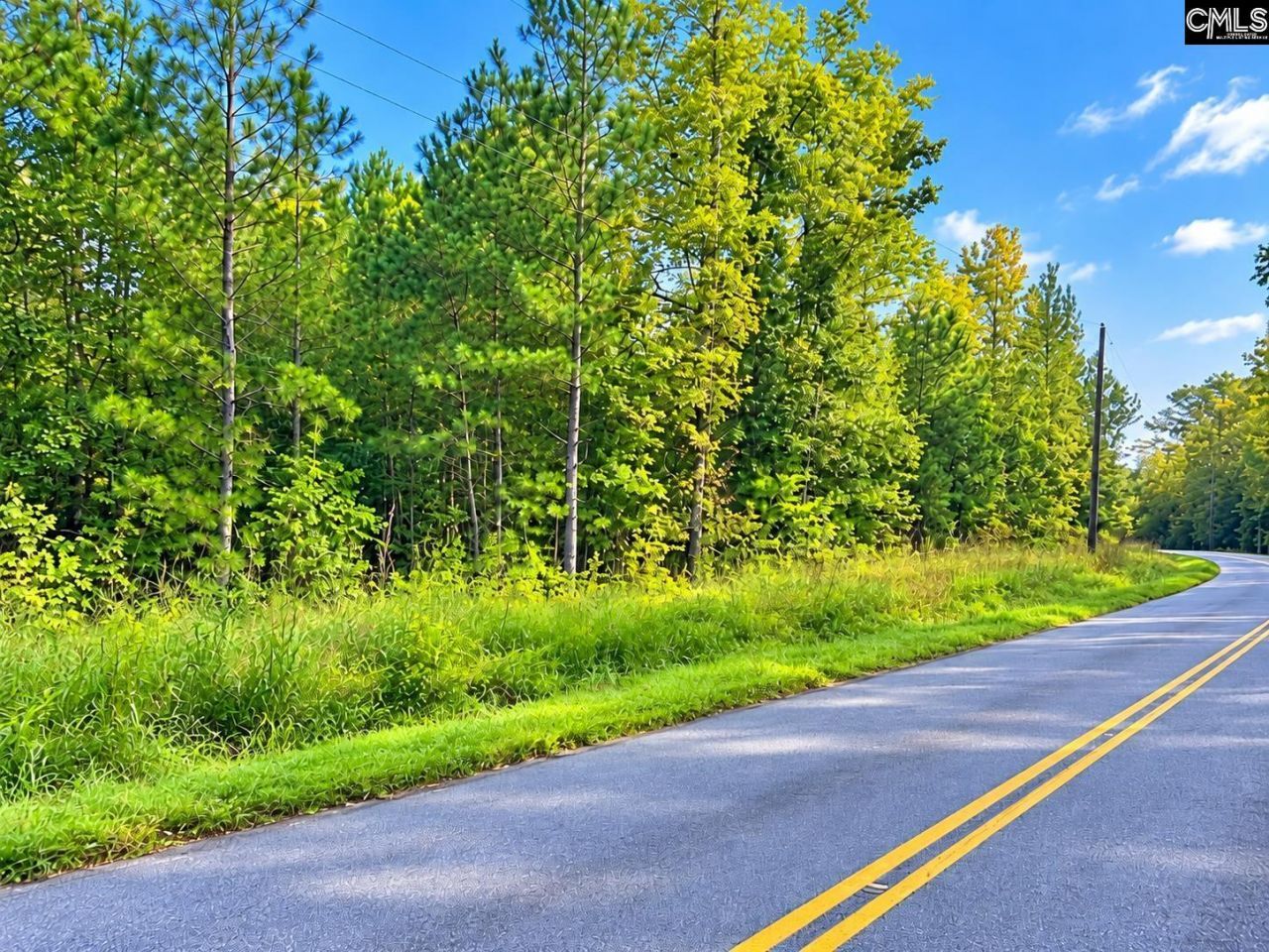 667 Counts Road  Photo 6