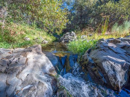 1875 Pear Blossom Ln, Placerville, CA 95667 Photo