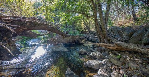 1875 Pear Blossom Ln, Placerville, CA 95667 Photo