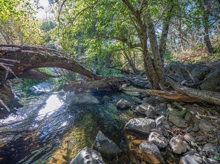 1875 Pear Blossom Ln, Placerville, CA 95667 Photo