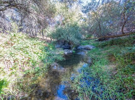 1875 Pear Blossom Ln, Placerville, CA 95667 Photo