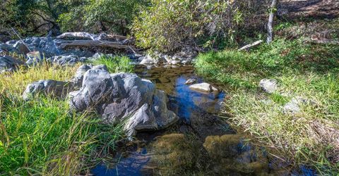 1875 Pear Blossom Ln, Placerville, CA 95667 Photo