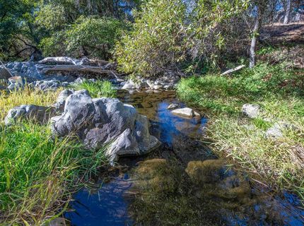 1875 Pear Blossom Ln, Placerville, CA 95667 Photo