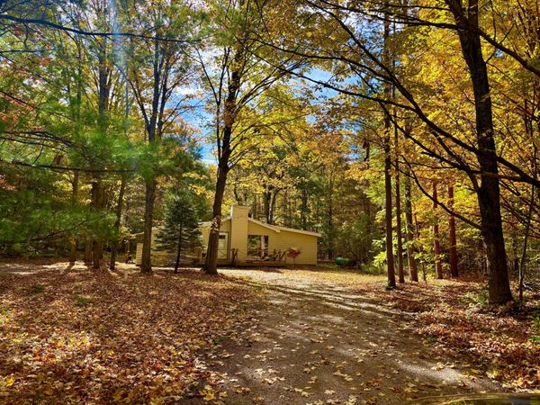 14139 Cinder Road, Beulah, MI 49617