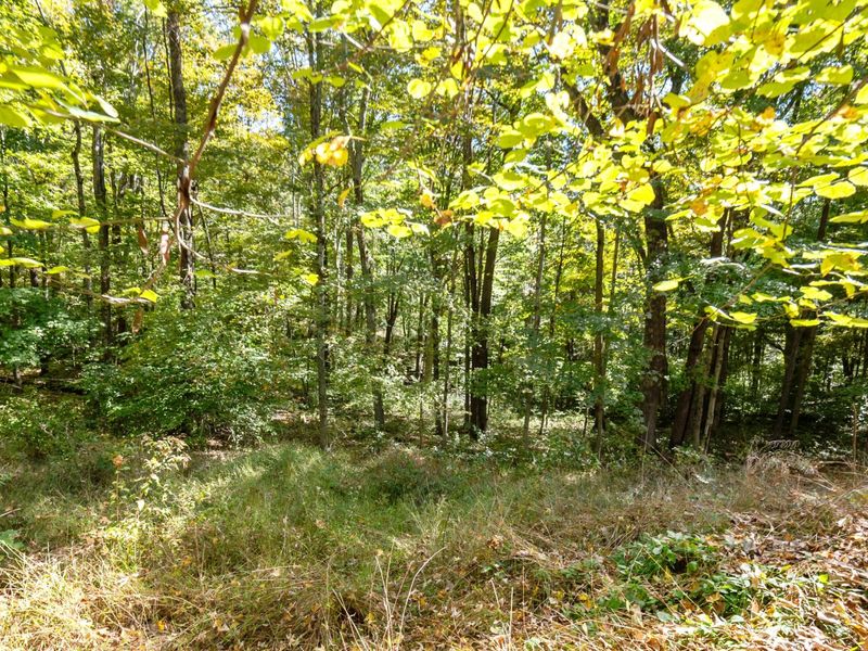 23951 Brown Road , South Bloomingville, OH 43152 Photo 71