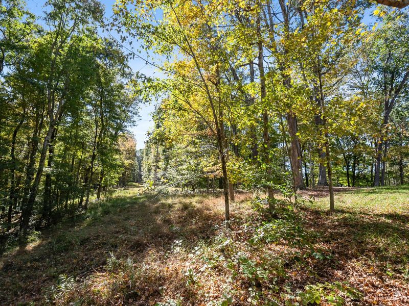 23951 Brown Road , South Bloomingville, OH 43152 Photo 72
