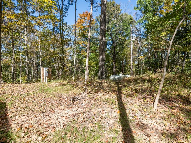23951 Brown Road , South Bloomingville, OH 43152 Photo 73
