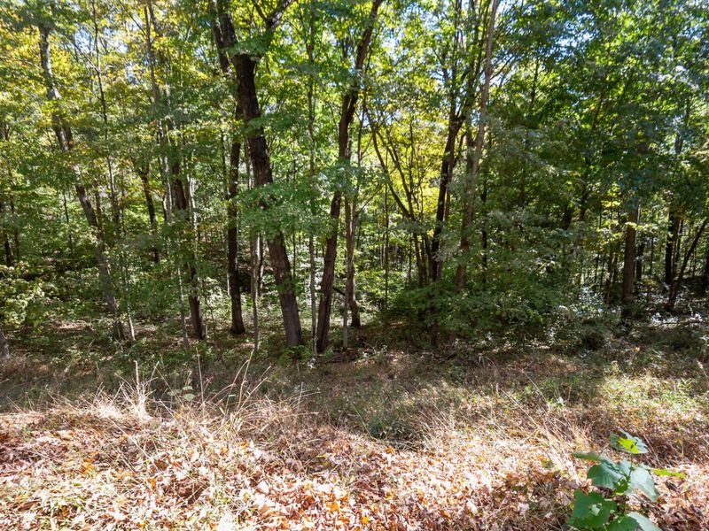 23951 Brown Road , South Bloomingville, OH 43152 Photo 75