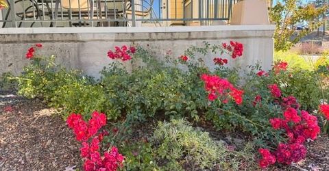 800 Freeman Ln #207, Unit 207, Grass Valley, CA 95949 Photo