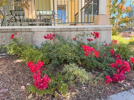 800 Freeman Ln #207, Unit 207, Grass Valley, CA 95949 Photo