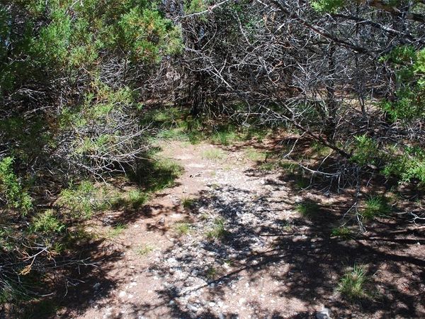 11030 Juniper Drive , Whitney, TX 76692