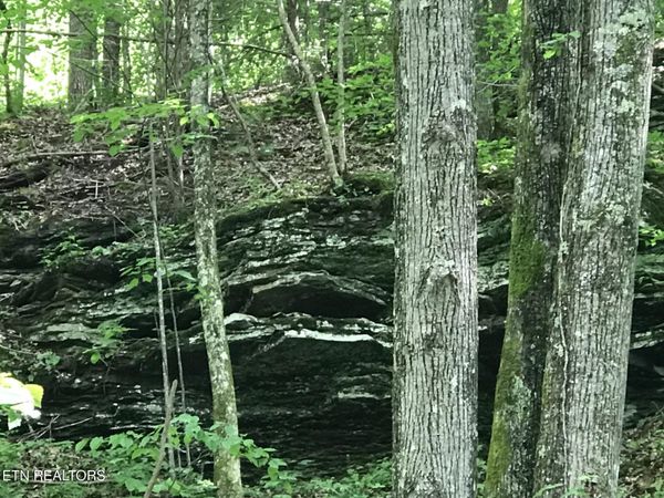 Happy Top Rd, Crossville, TN 38555