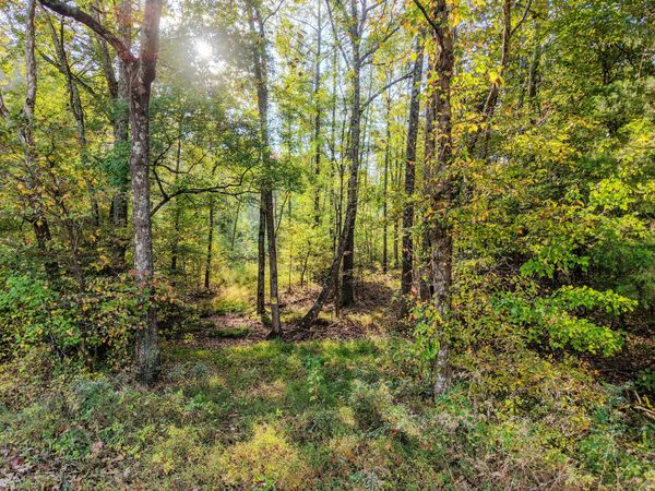 0 Second Creek Rd , Lutts, TN 38471