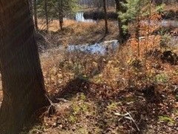 13869 Middle Branch Road , Harrisville, NY 13648