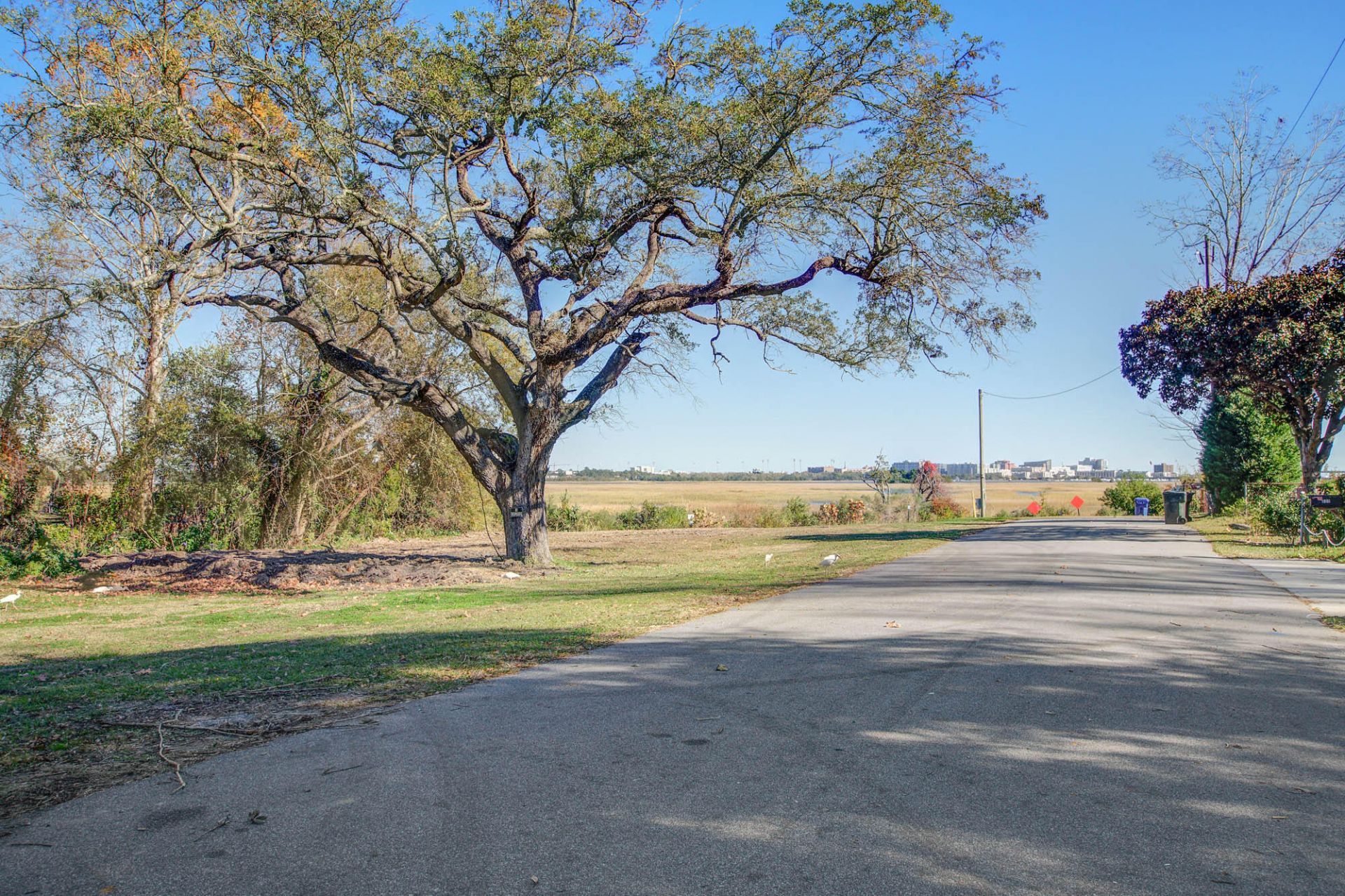 813 Minnie Street Photo 20
