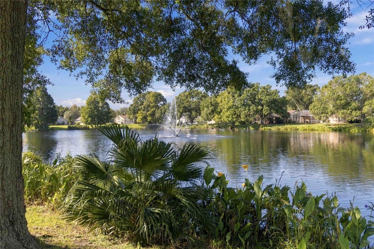 840 Grovesmere Loop , Ocoee, FL 34761 Photo