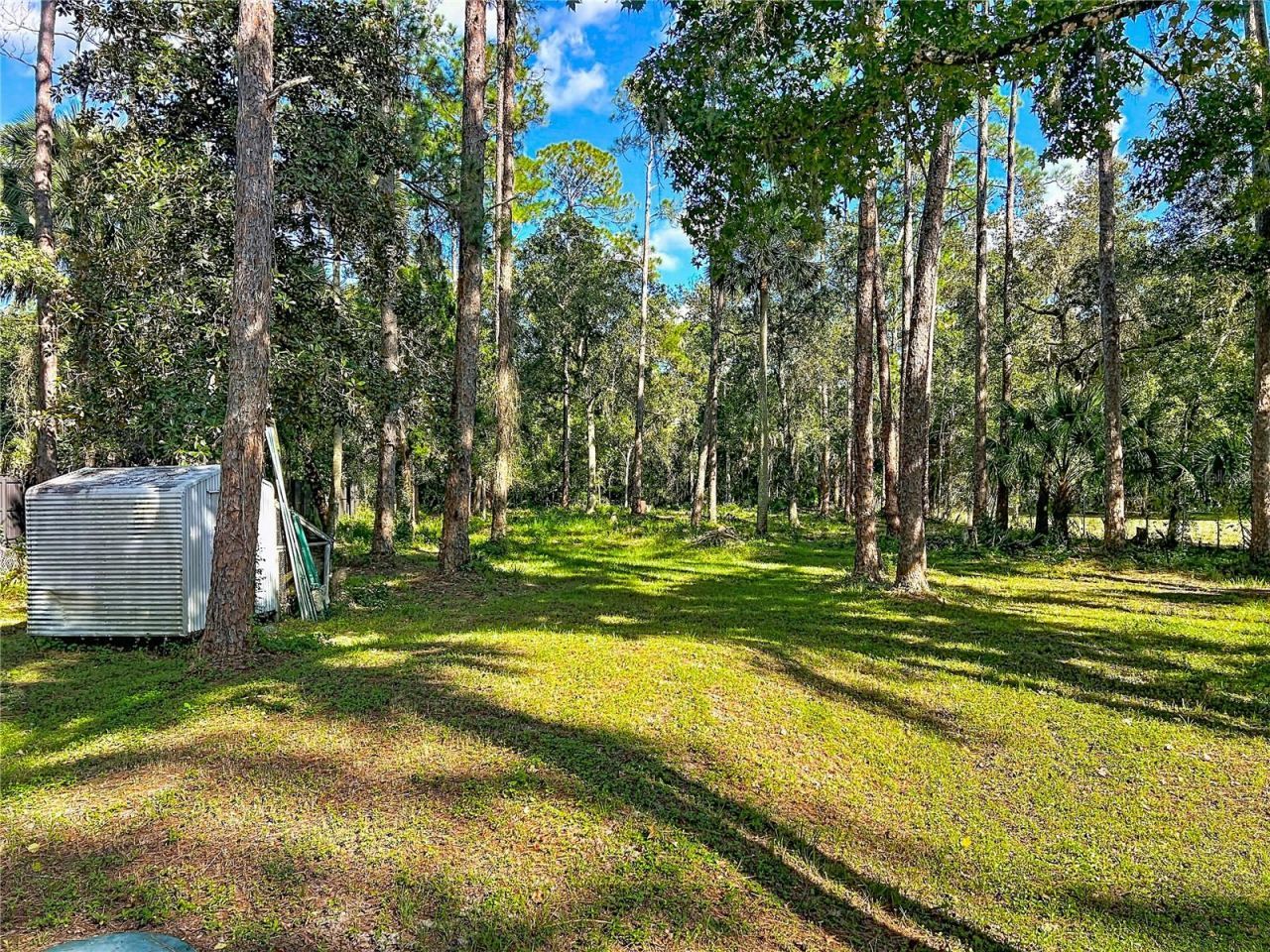 1205 Cupid Avenue , Christmas, FL 32709 Photo