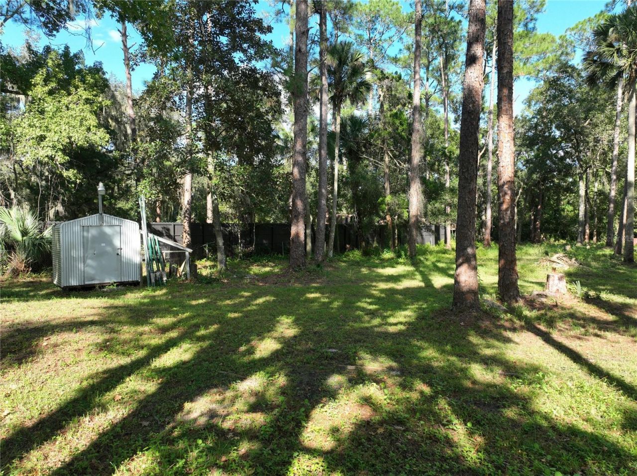1205 Cupid Avenue , Christmas, FL 32709 Photo