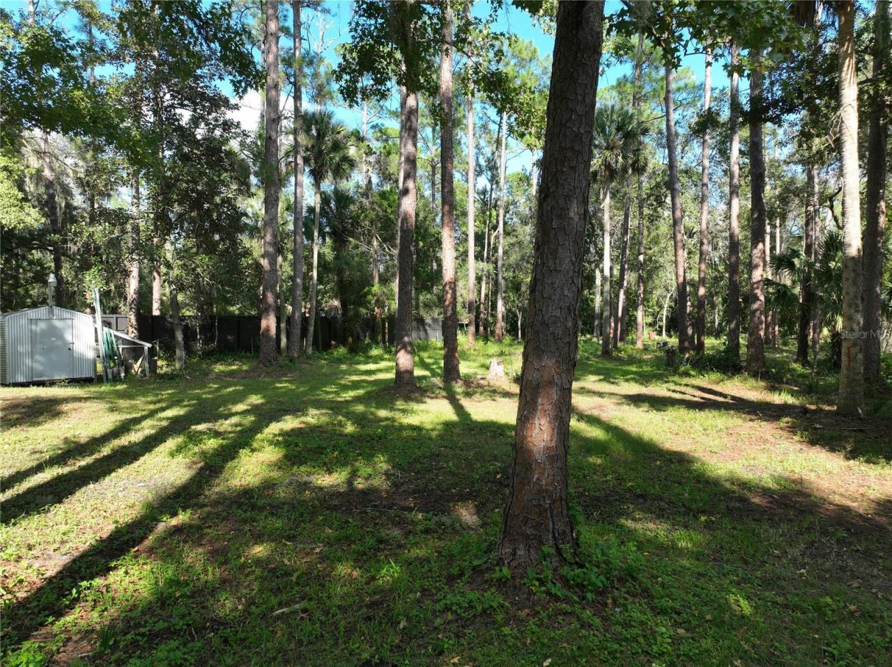1205 Cupid Avenue , Christmas, FL 32709 Photo